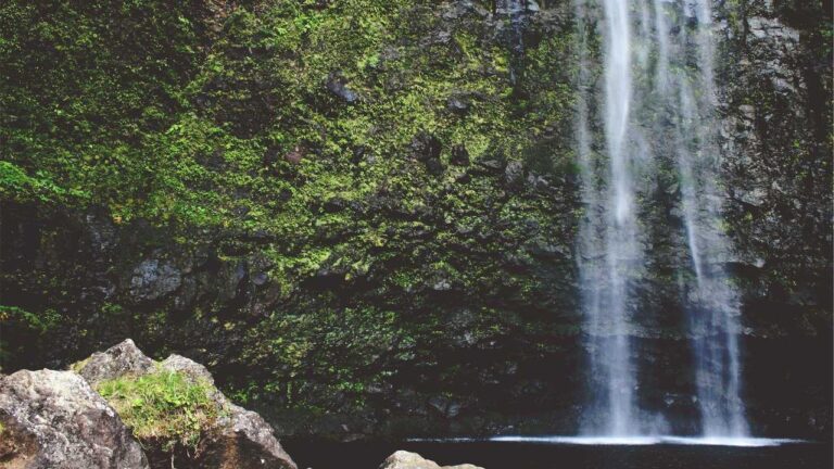 How To Play On 99 Exchange For Beginners?